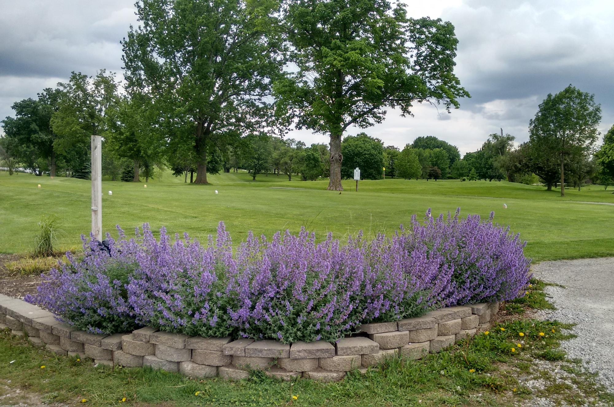 Personal Spa, Wellnes Spa, Massage, Ottumwa, IA